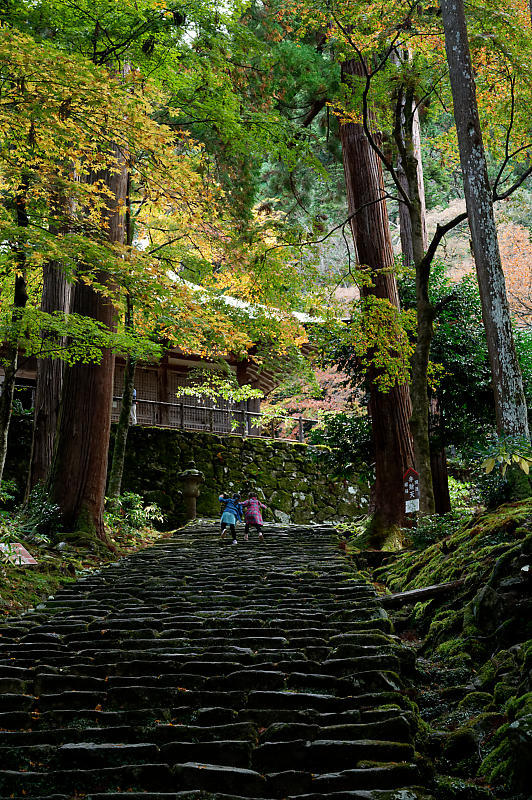 2020湖東の紅葉遠征・其の三(百済寺)_f0032011_12481632.jpg