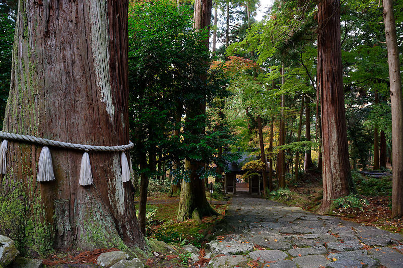 2020湖東の紅葉遠征・其の三(百済寺)_f0032011_12481637.jpg