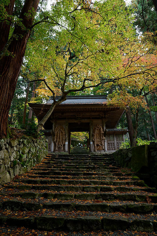 2020湖東の紅葉遠征・其の三(百済寺)_f0032011_12481663.jpg