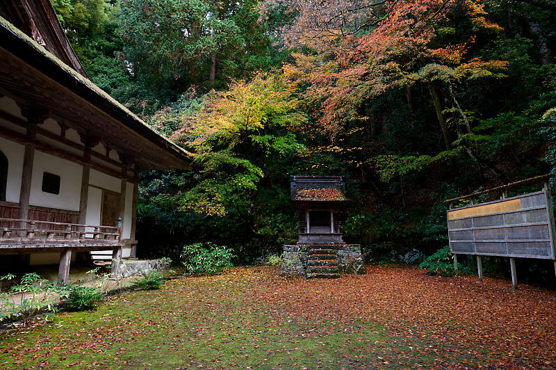 2020湖東の紅葉遠征・其の三(百済寺)_f0032011_12481688.jpg