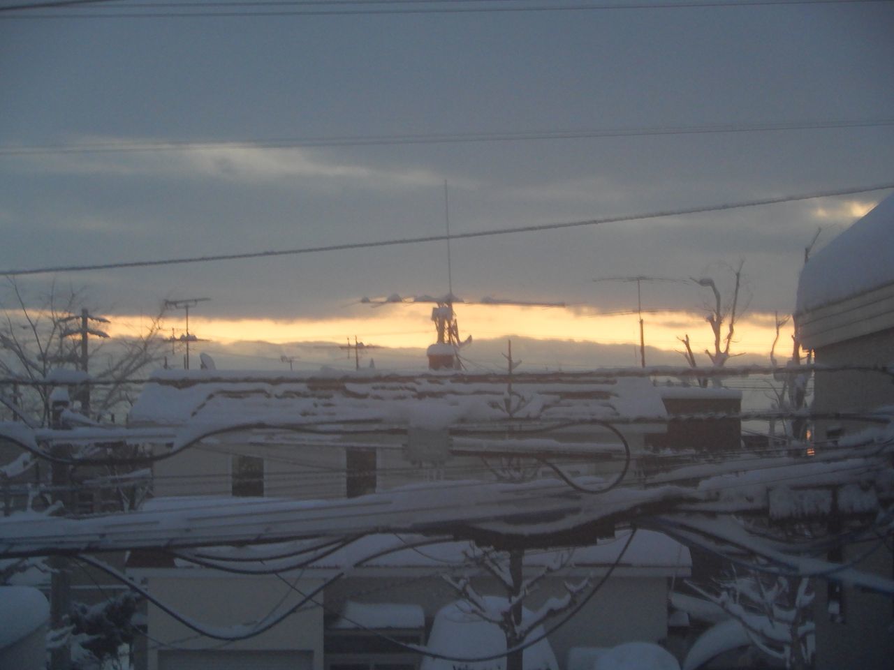 今季一番の降雪_c0025115_21523322.jpg