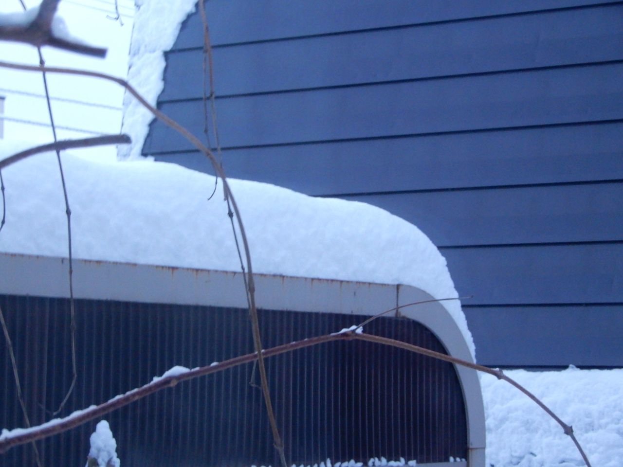 今季一番の降雪_c0025115_21525383.jpg