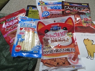 年末年始の休館中のワインの国ですが、ハクは元気いっぱい_b0405523_22414861.jpg