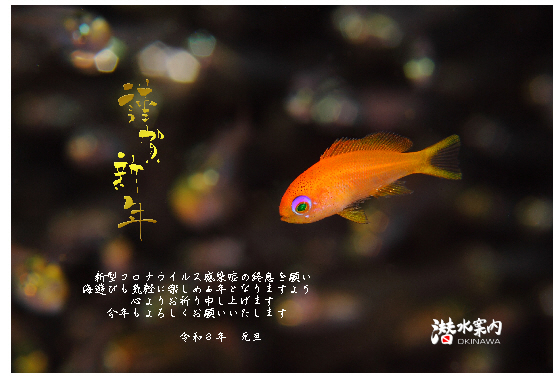 21.1.3 謹賀新年_b0100730_19234461.jpg