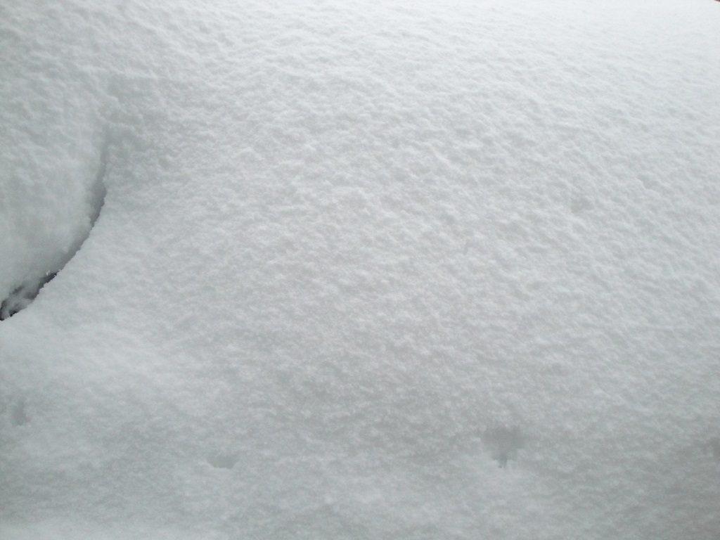融雪考2021_f0182936_16470916.jpg