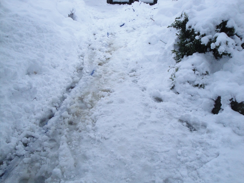融雪考2021_f0182936_16470973.jpg