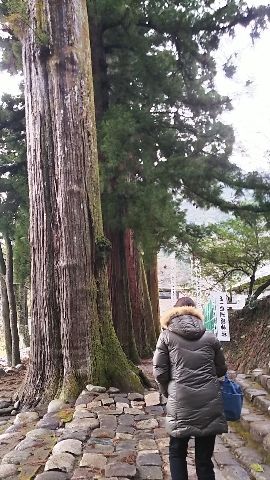 1/3(日)  洲原神社へ初詣_a0272042_18475688.jpg