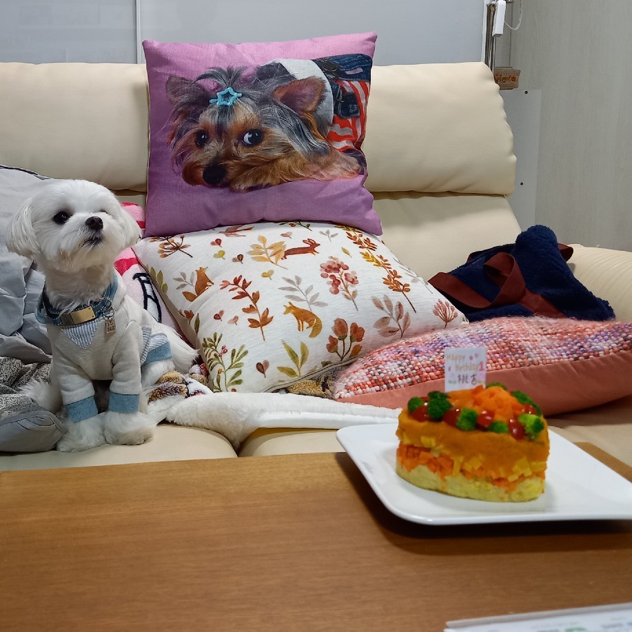 お泊りカニパ_c0191390_22184842.jpg