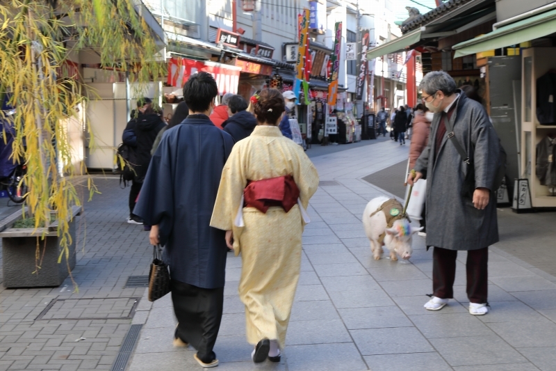 裏浅草の元旦風景、はたして２０２１年の人出は。_b0291402_22043306.jpg