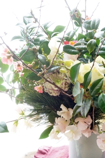 きょうからボチボチと花仕事(^^♪_b0151911_21372009.jpg