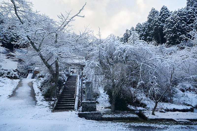 雪景色@福徳寺_f0032011_17530935.jpg