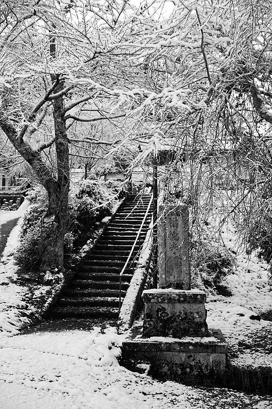 雪景色@福徳寺_f0032011_17530994.jpg