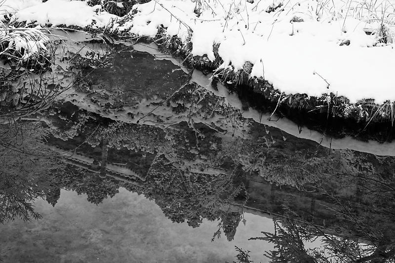 雪景色@福徳寺_f0032011_17553585.jpg