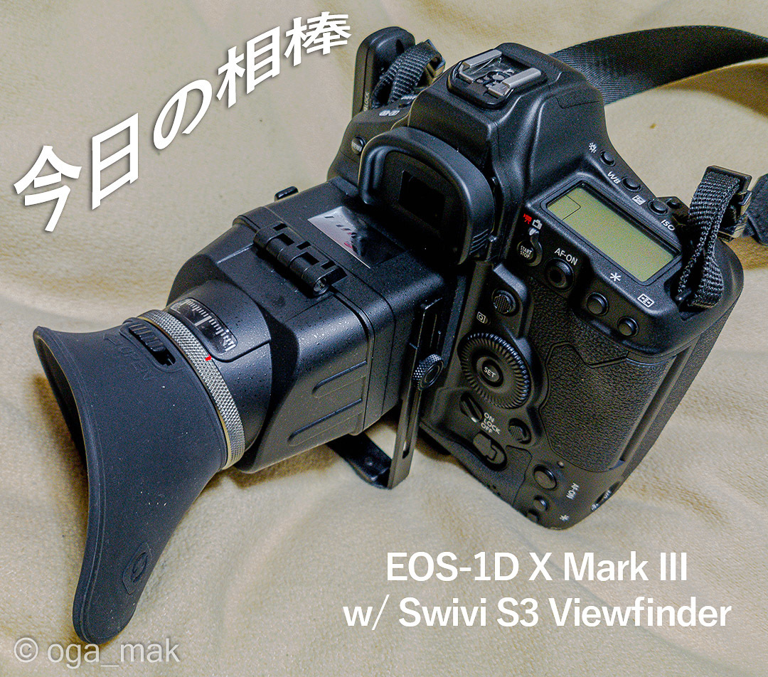 1DX Mark III + LCD Viewfinder = R1?!_f0371613_01370060.jpg