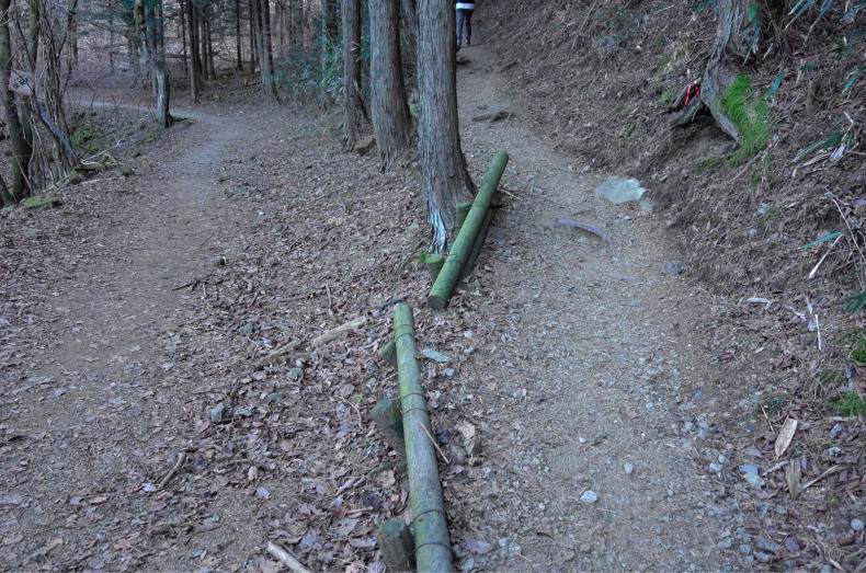 竜ヶ岳登山　山梨百名山　富士山の眺望最高_a0385814_12515820.jpg