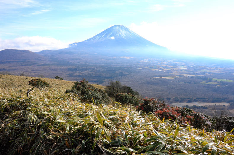 竜ヶ岳登山　山梨百名山　富士山の眺望最高_a0385814_14025622.jpg