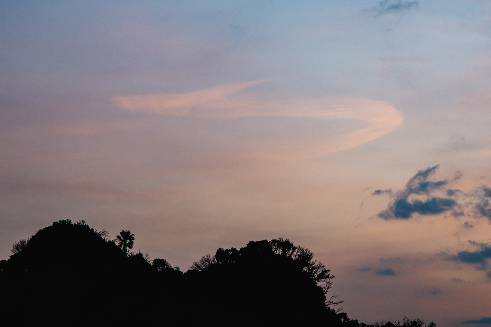 龍雲 画像