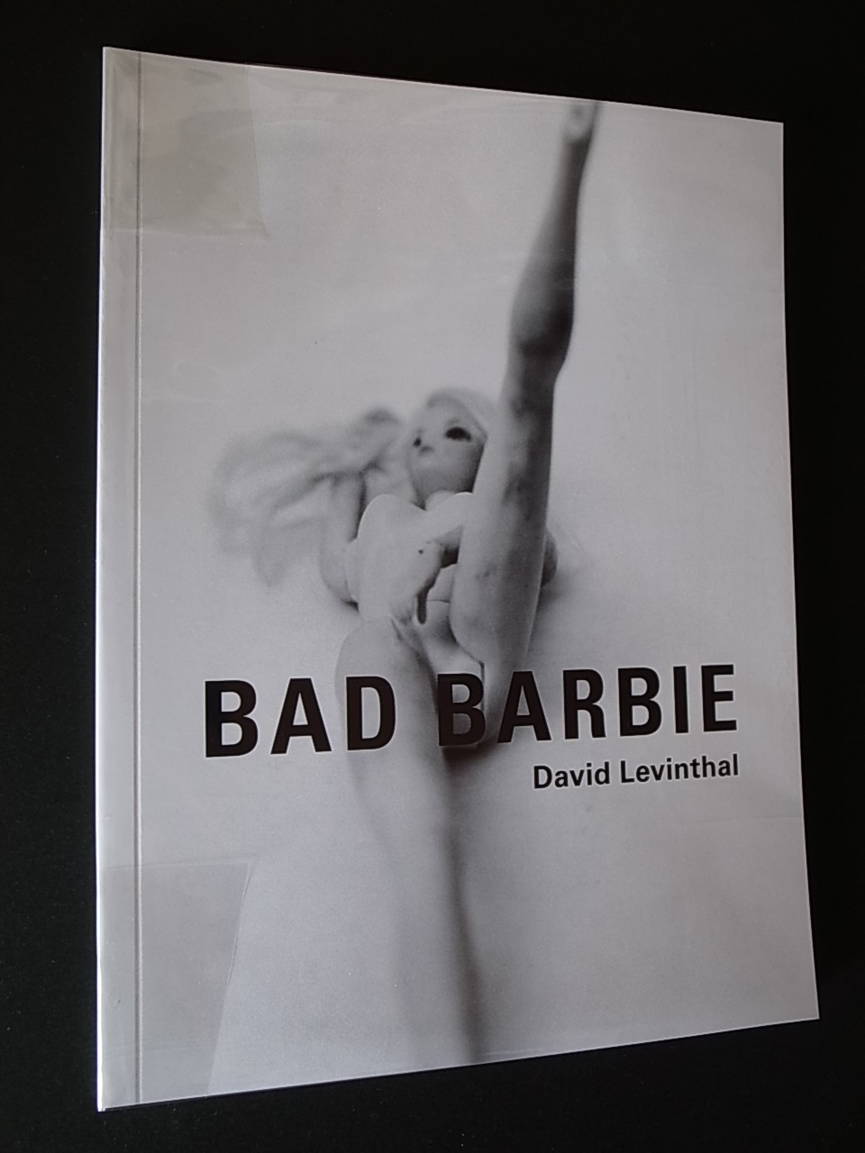 Bad Barbie : David Levinthal, John McWhinnie, David