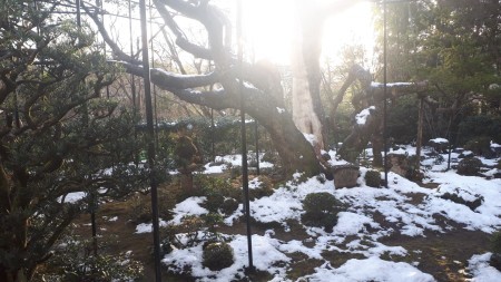 宝泉院 雪あります 堀川ごぼう 京都グルメタクシー おいしい京都 宝泉院 雪あります 堀川ごぼう 京都グルメタクシー おいしい京都