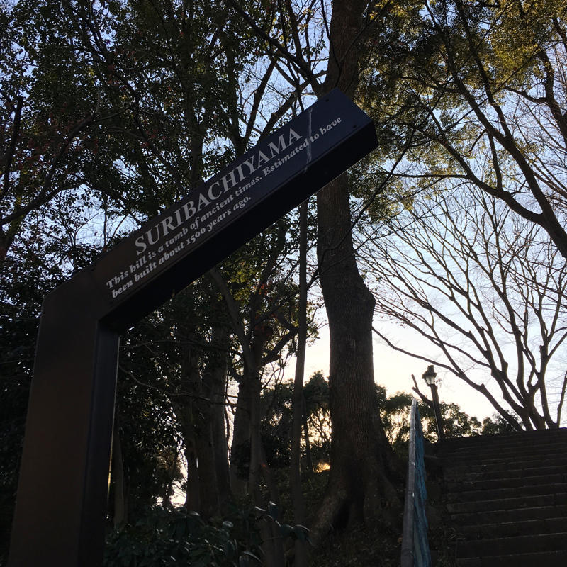 上野のお山と摺鉢山_c0060143_14065879.jpg