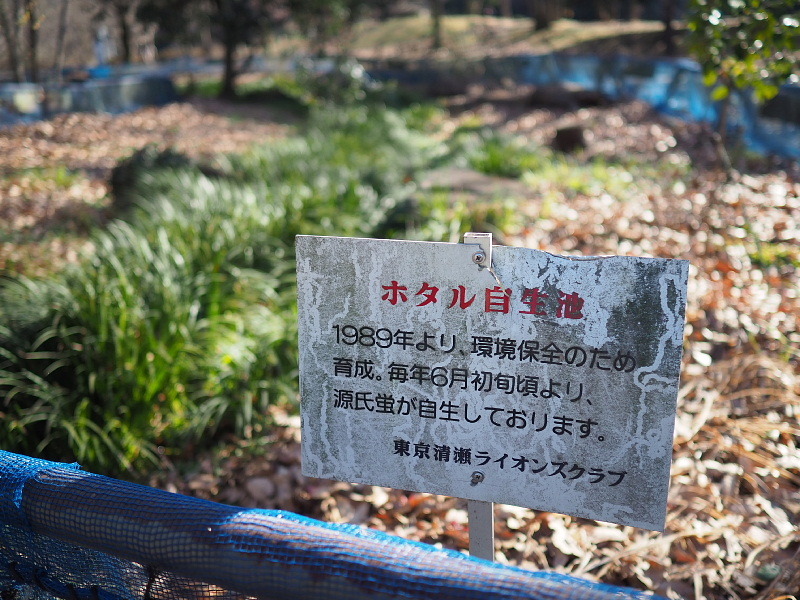 【カメラ散歩】武蔵野の風情・柳瀬川と清瀬金山緑地公園_b0008655_15560131.jpg