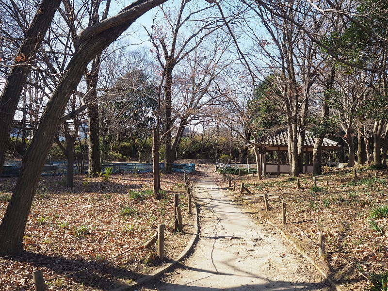 【カメラ散歩】武蔵野の風情・柳瀬川と清瀬金山緑地公園_b0008655_15565282.jpg