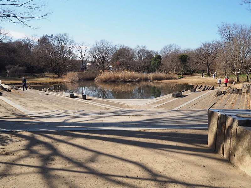 【カメラ散歩】武蔵野の風情・柳瀬川と清瀬金山緑地公園_b0008655_15590007.jpg