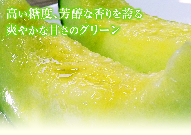 匠が育て上げた熊本産高級マスクメロン!令和4年7月出荷分完売御礼!8月出荷分を数量限定で販売中!_a0254656_16425325.jpg