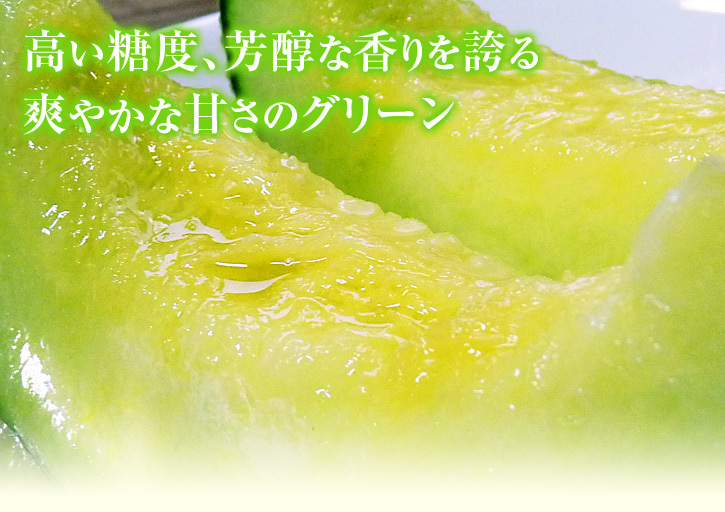 匠の高級マスクメロン大好評販売中！令和3年1月の出荷は1月7日と8日に決定！数量限定！残りわずかです！_a0254656_16425325.jpg