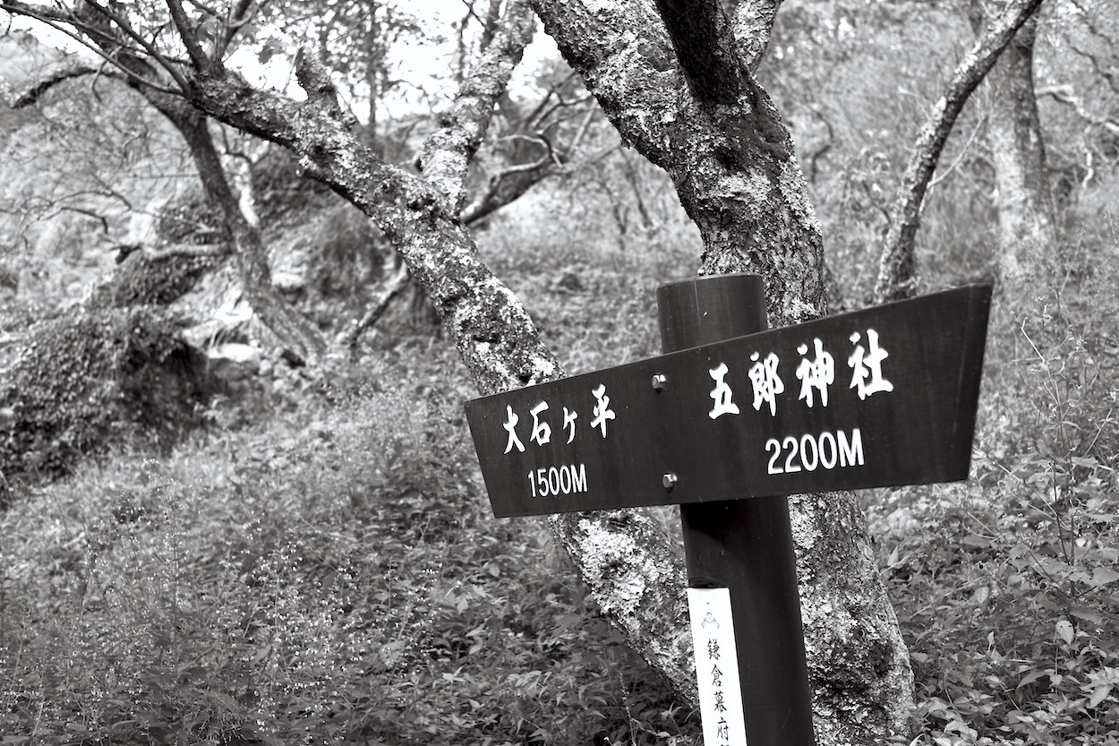 そぞろ歩き_d0175768_13492622.jpg
