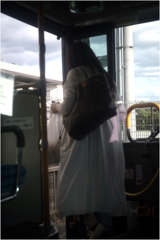 874 静寂そのもの(2020年5月20日エンラージングアナスチグマート50mmF3.5がまたしても奈良町に)_c0168172_21234117.jpg