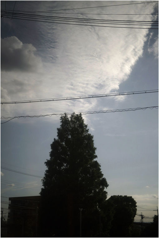 874 静寂そのもの(2020年5月20日エンラージングアナスチグマート50mmF3.5がまたしても奈良町に)_c0168172_21240270.jpg