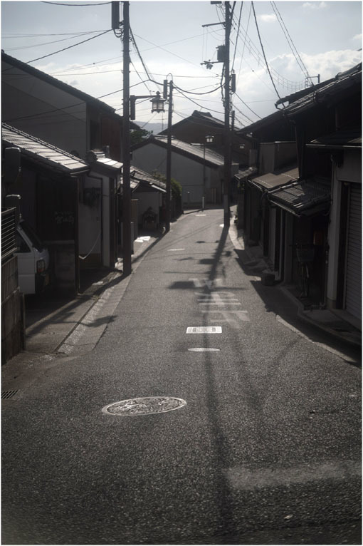 874 静寂そのもの(2020年5月20日エンラージングアナスチグマート50mmF3.5がまたしても奈良町に)_c0168172_21241110.jpg