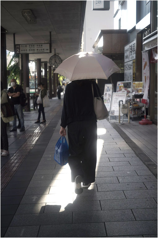 874 静寂そのもの(2020年5月20日エンラージングアナスチグマート50mmF3.5がまたしても奈良町に)_c0168172_21252380.jpg