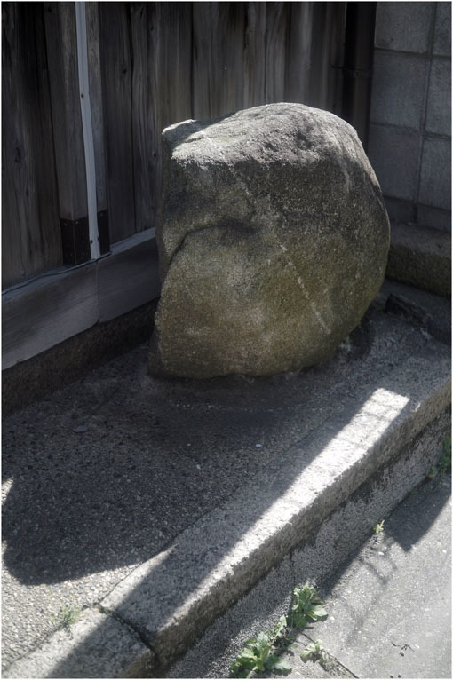 874 静寂そのもの(2020年5月20日エンラージングアナスチグマート50mmF3.5がまたしても奈良町に)_c0168172_21301807.jpg