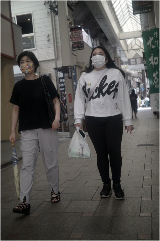 874 静寂そのもの(2020年5月20日エンラージングアナスチグマート50mmF3.5がまたしても奈良町に)_c0168172_21382565.jpg