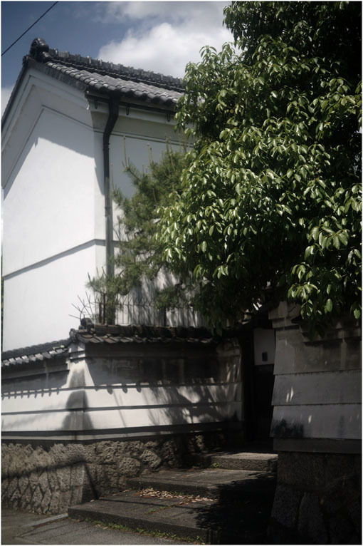 874 静寂そのもの(2020年5月20日エンラージングアナスチグマート50mmF3.5がまたしても奈良町に)_c0168172_21435330.jpg