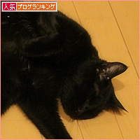 猫とお正月_a0389088_13553142.jpg