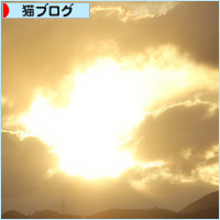 猫とお正月_a0389088_13553143.jpg