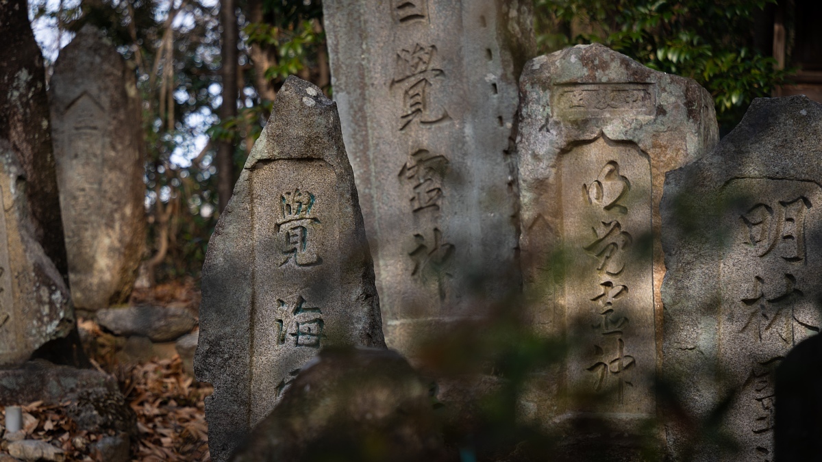 秘められた聖域_d0353489_19314394.jpg