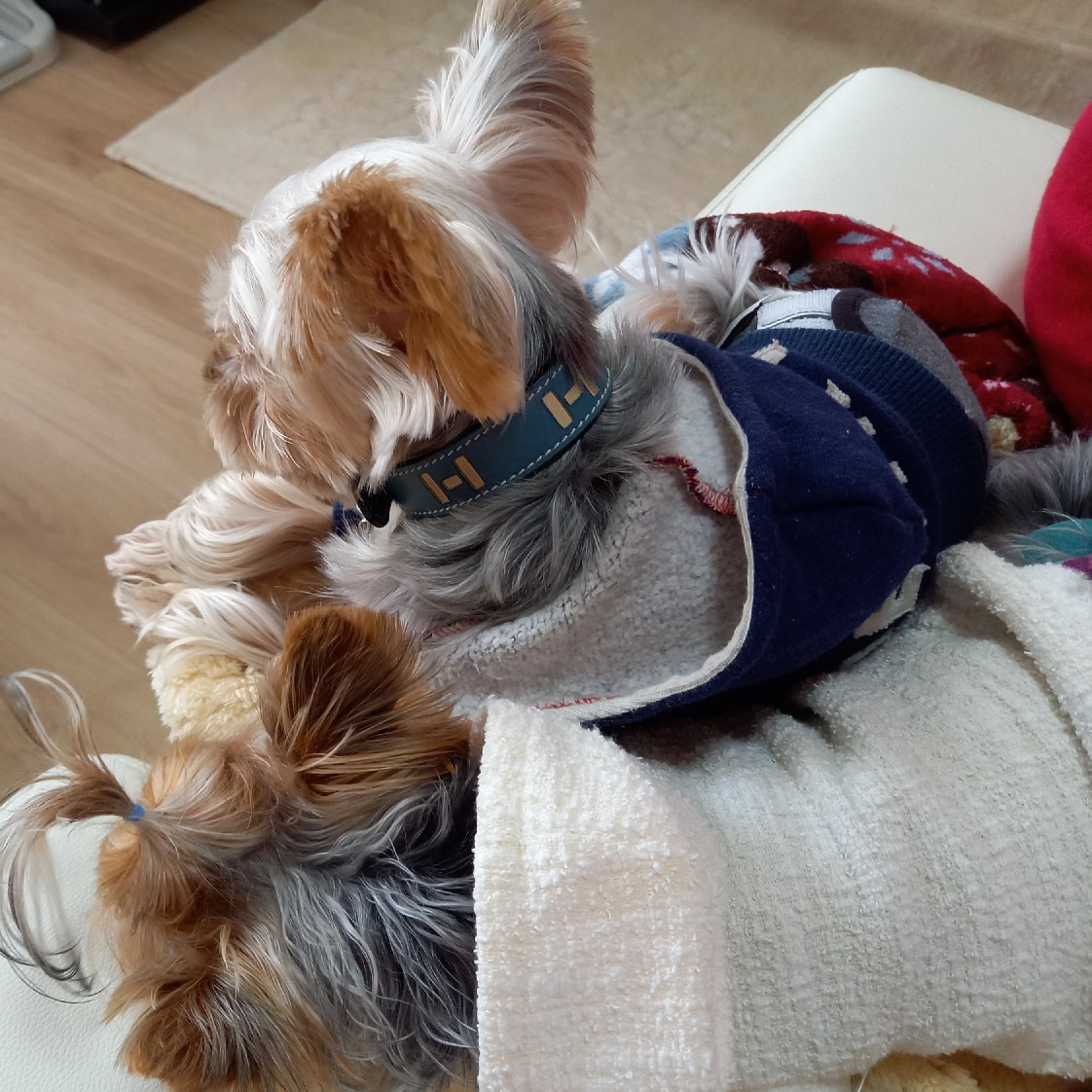 お泊りカニパ 翌日_c0191390_18343279.jpg