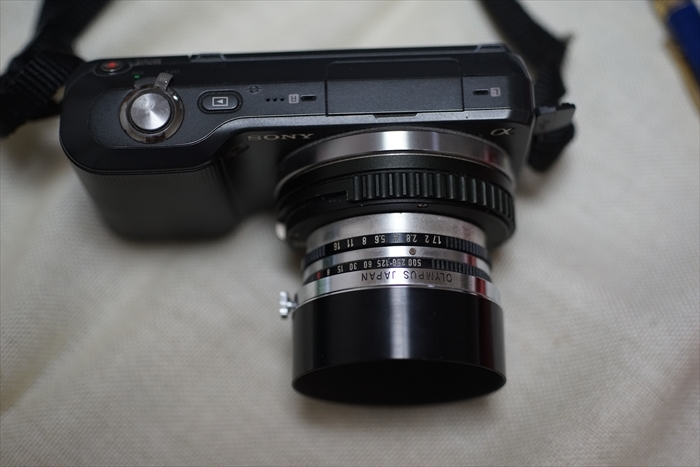 SONY NEX-3・・・も現役ばりばりです。 : 趣味、取って(撮って SONY NEX-3・・・も現役ばりばりです。 : 趣味、取って(撮って