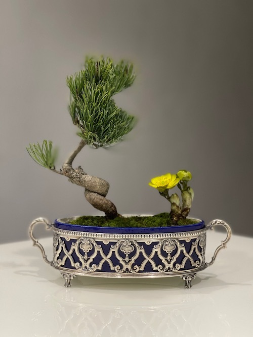 MP SEVRES セーヴル　ポール・ミレ　ジャルディニエール_c0108595_23032609.jpeg