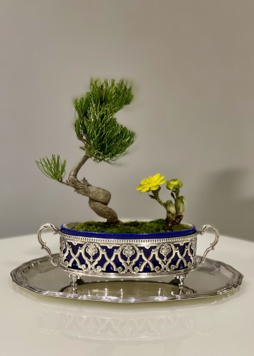 MP SEVRES セーヴル　ポール・ミレ　ジャルディニエール_c0108595_23175408.jpeg