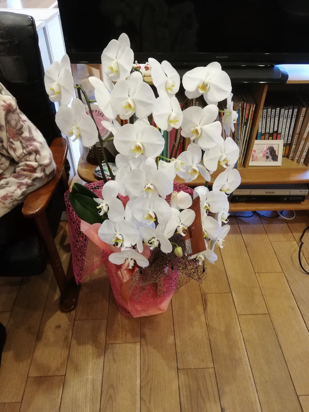 誕生日会_f0376200_16103639.jpg