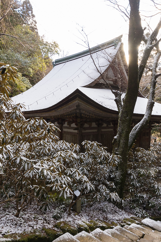 雪の奈良2021　淡雪積もる室生寺（後編）_f0155048_18511819.jpg