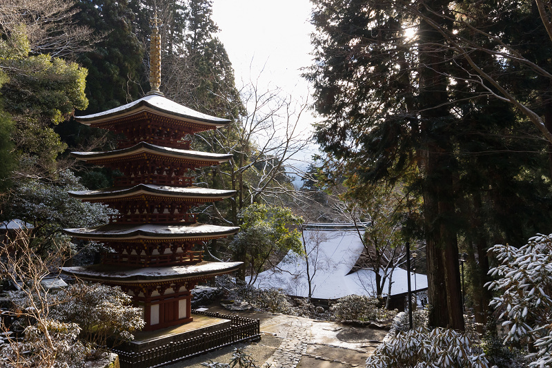 雪の奈良2021　淡雪積もる室生寺（後編）_f0155048_18515215.jpg