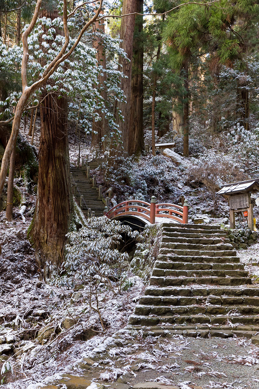 雪の奈良2021　淡雪積もる室生寺（後編）_f0155048_18531397.jpg