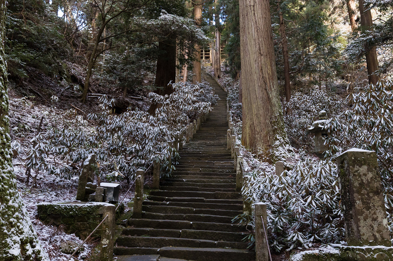 雪の奈良2021　淡雪積もる室生寺（後編）_f0155048_18534830.jpg