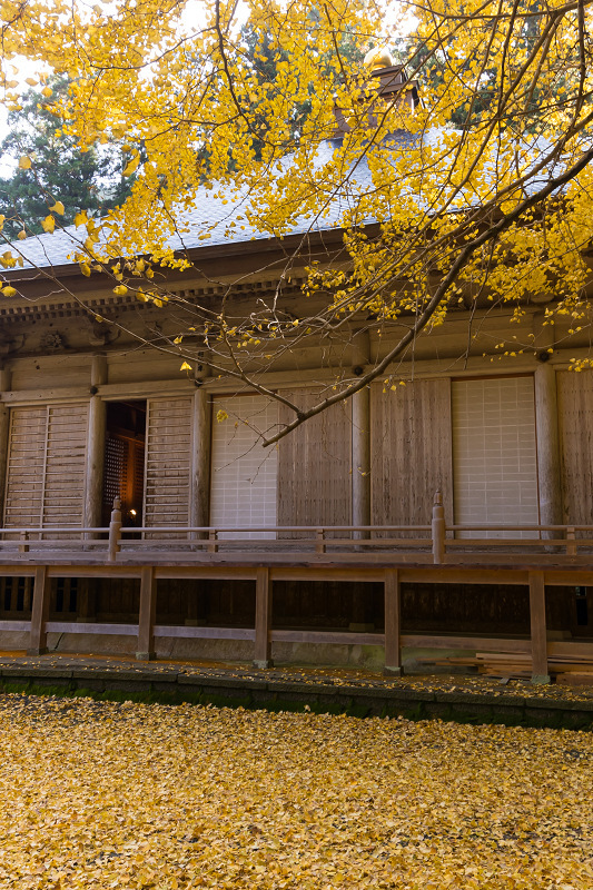 2020紅葉きらめく丹波　文保寺の秋_f0155048_23213002.jpg
